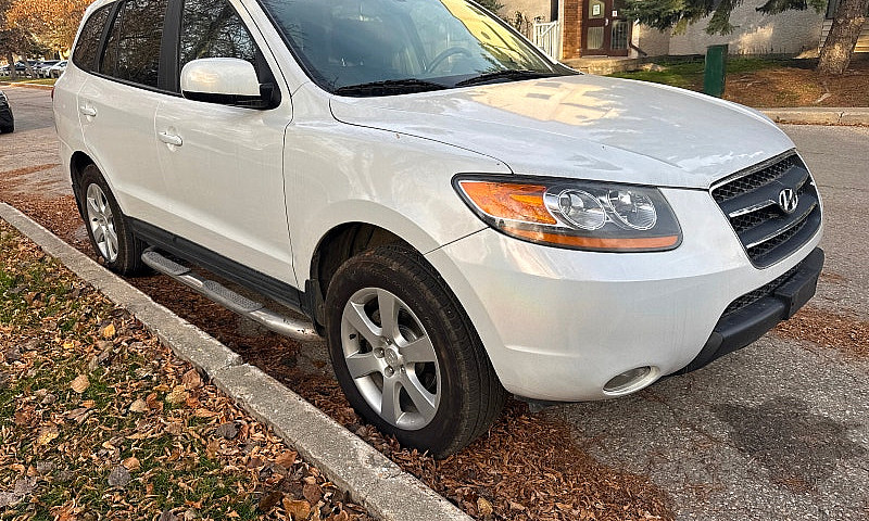2009 Hyundai Santa F...