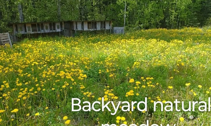 Rural 3Bed House 2 A...