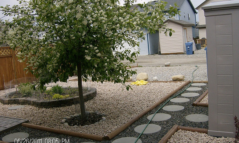 Calgary Evergreen Sw...