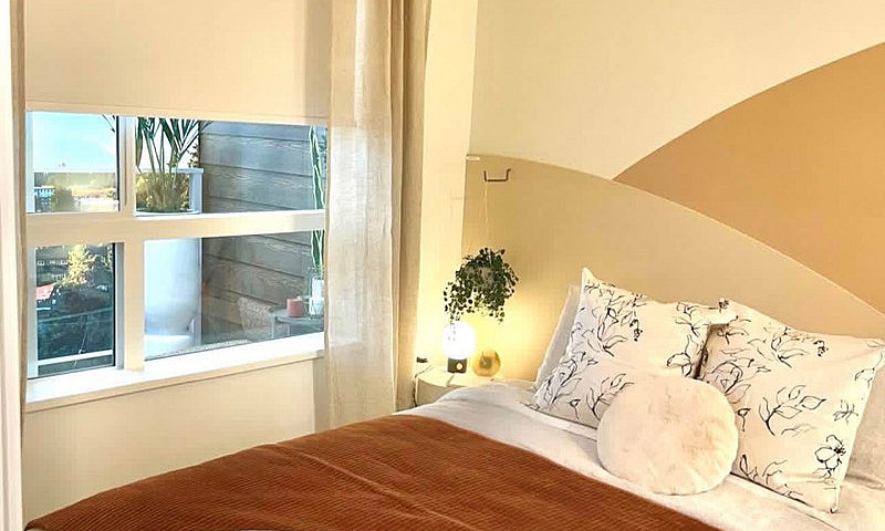 1 Bed,1Bath Apartmen...