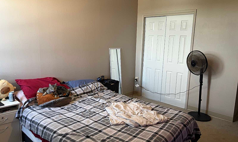 One Bedroom One Bath...