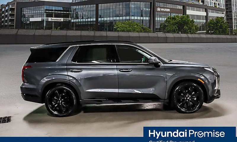 2025 Hyundai Palisad...