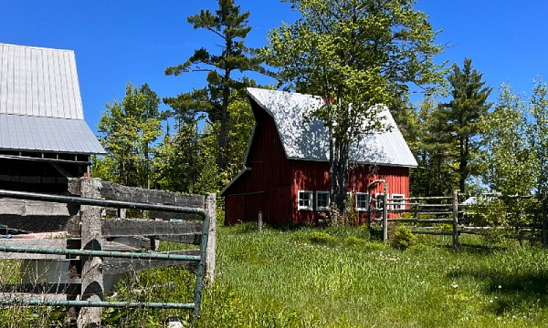 108 Acres For Hobby ...