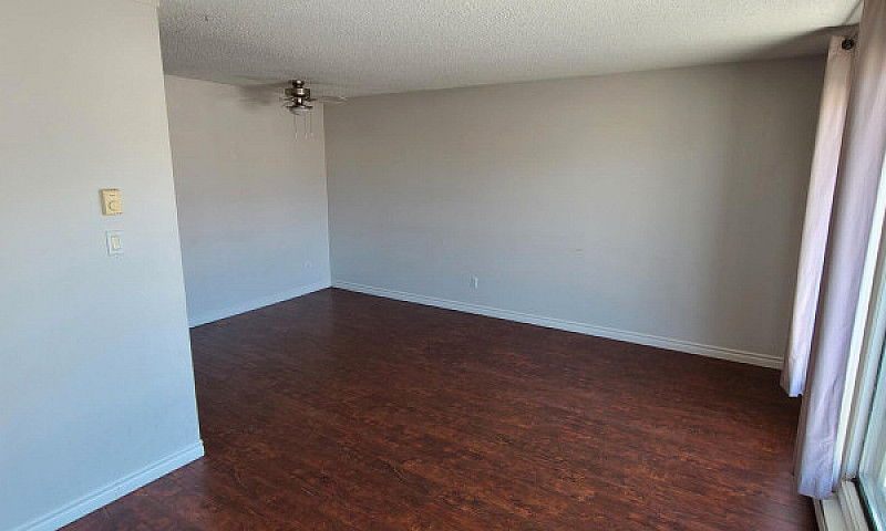 Bright 2 Bedroom Sui...