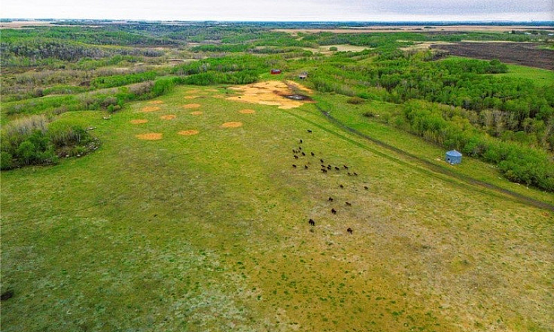Land Forsale...