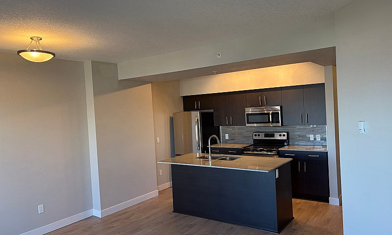 1 Bed 1 Bath - Condo...