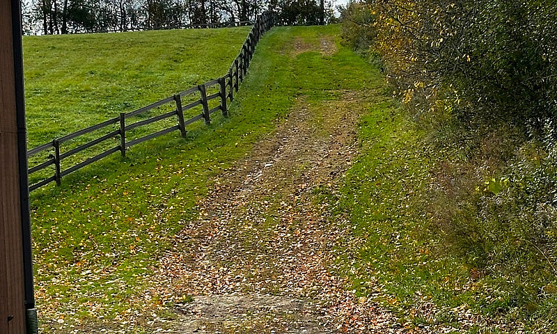 Studio On Horse Farm...