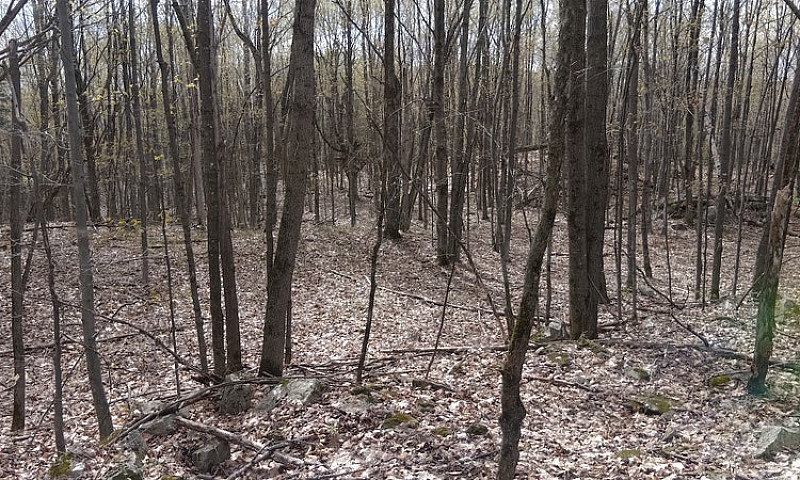 4.95 Acres For Sale ...