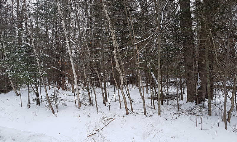 Terrain A Vendre St-...