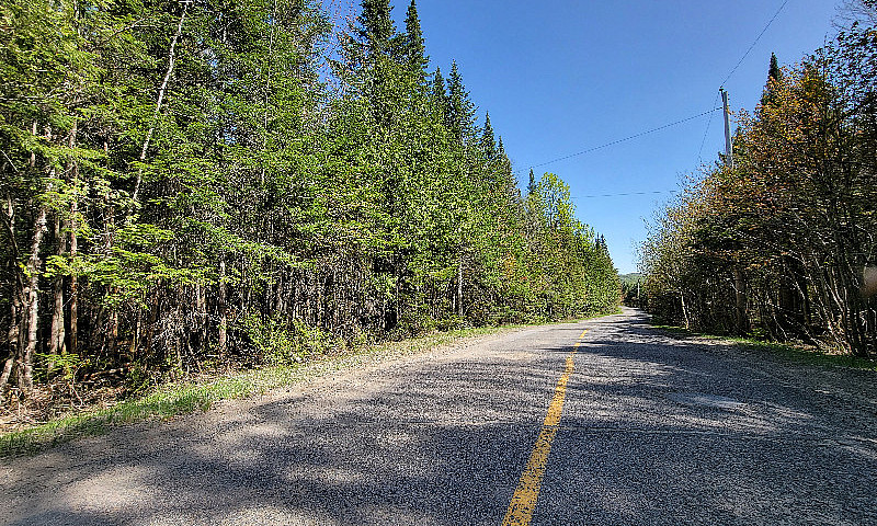 Terrain 40 Acres Sub...