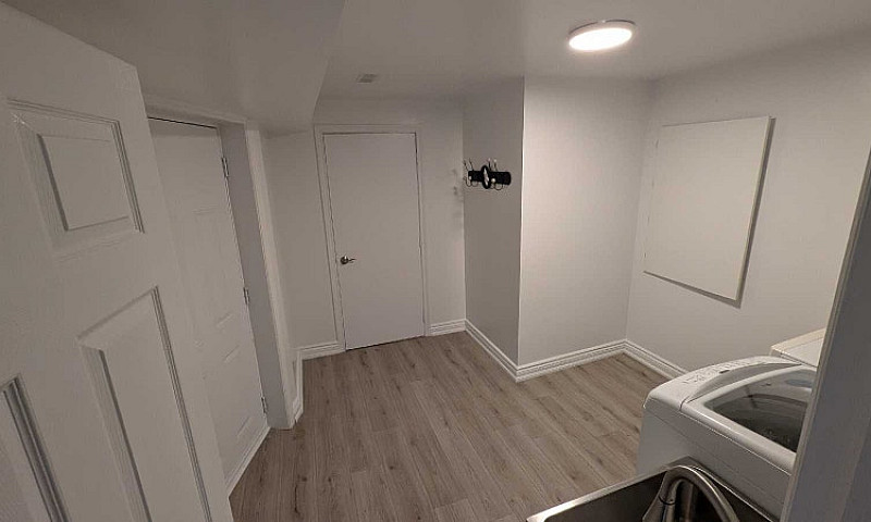 Newly Renovated 1 Be...