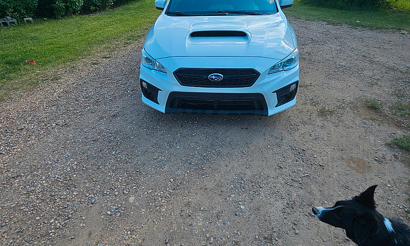 2019 Subaru Wrx...