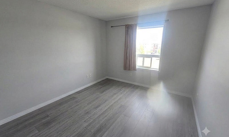 Quiet Top Floor Cond...