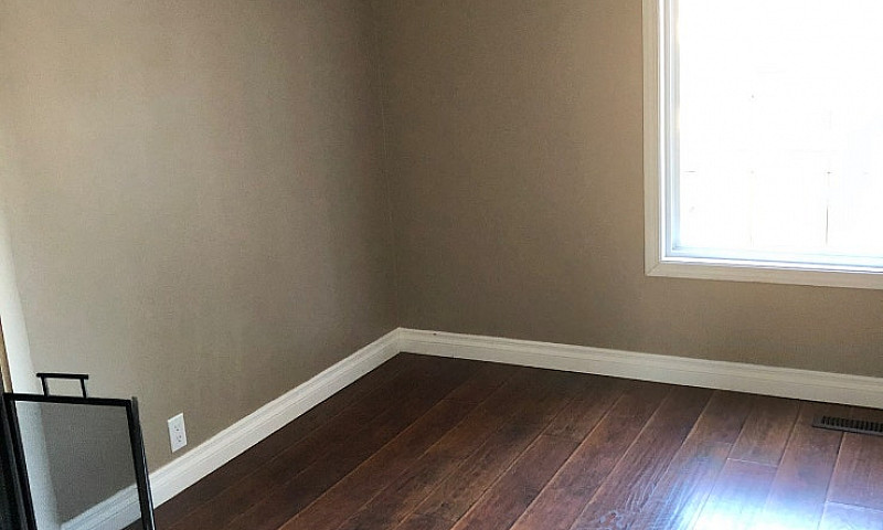 ***Newly*** Renovate...