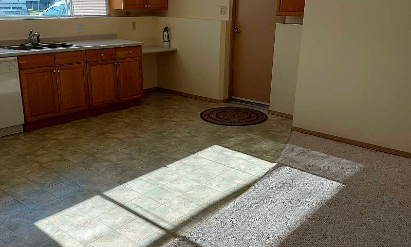 One Bedroom Basement...