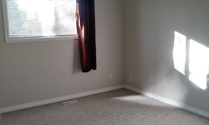 Camrose Home...