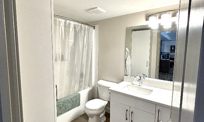 1 Bed 1 Bath Lease T...