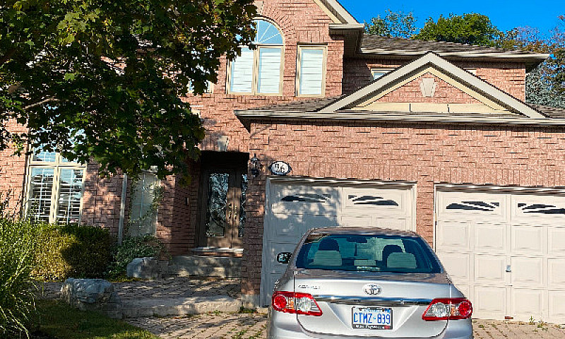 Basement Apartment F...