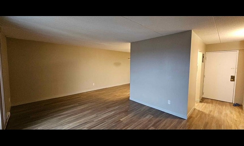 One Bed One Bath Apa...