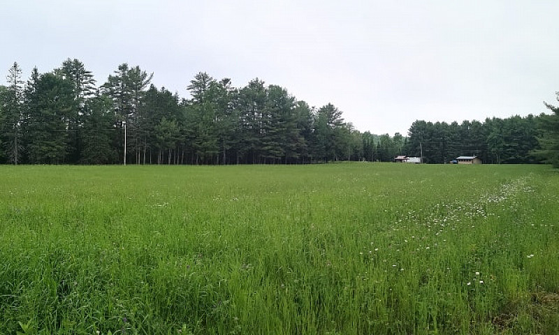 12 Acres , Plus Buil...