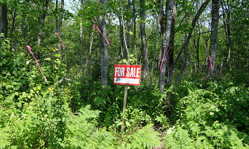 Land For Sale...