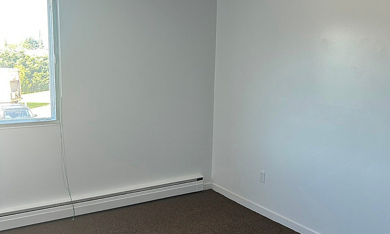 Pet-Friendly Apartme...