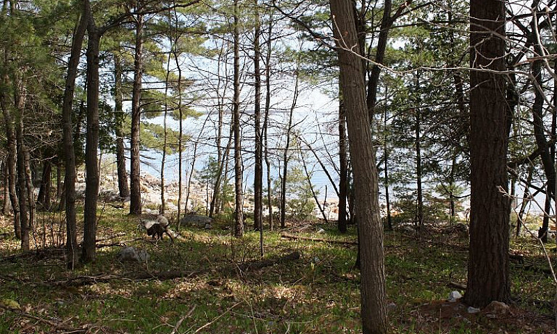 Waterfront Acreage G...