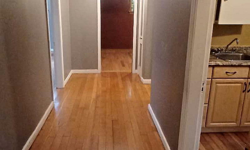 One Bedroom Basement...