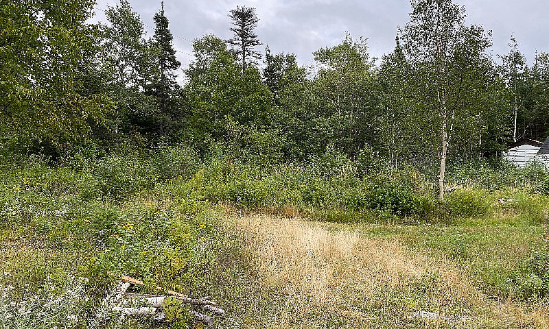 Cottage Land/Cabin $...