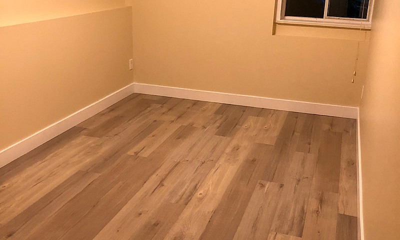 Beautiful Basement S...
