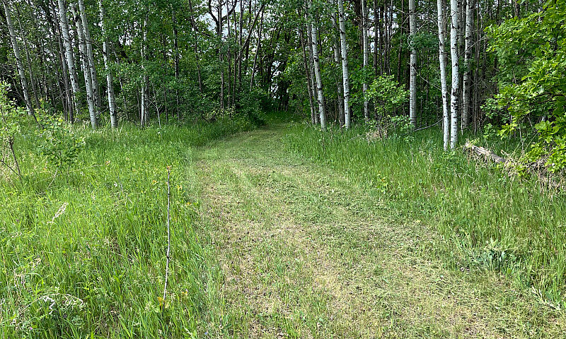 5 Acre Lot Rm Ste. A...