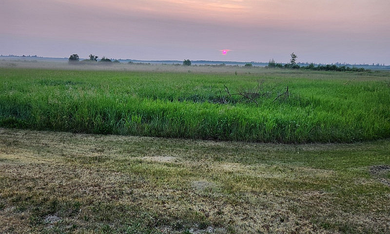156 Acres For Sale...