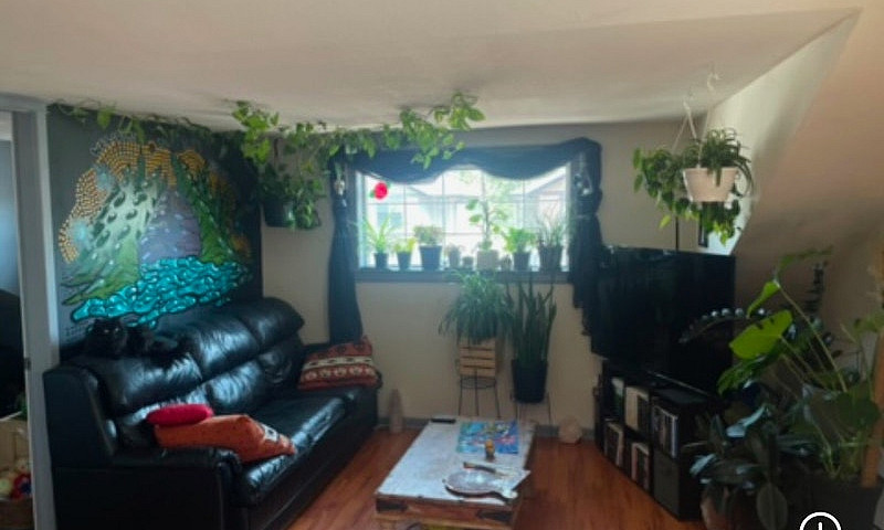 Loft For Rent, Best ...