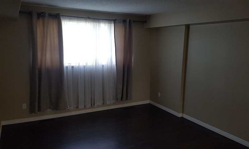 2 Bedroom Basement S...