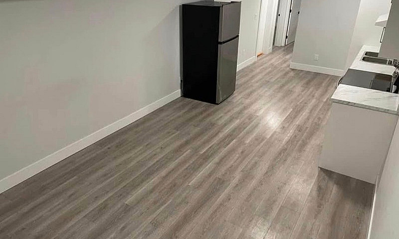 2Br Pet-Friendly Bas...