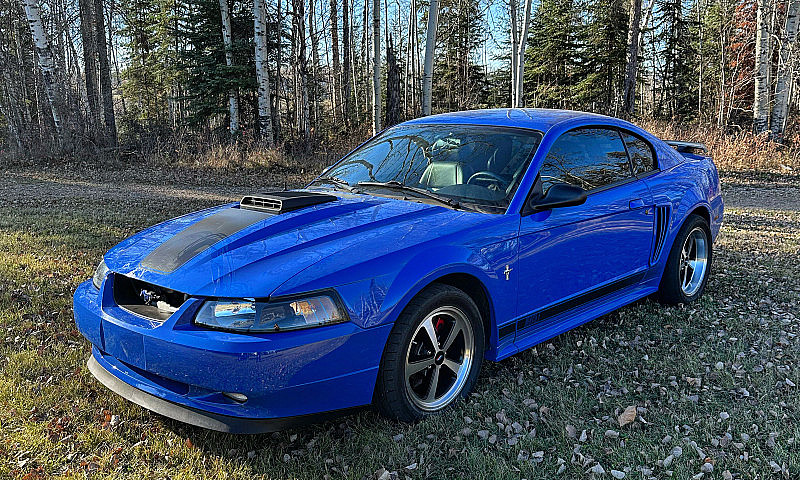 2003 Ford Mustang Ma...
