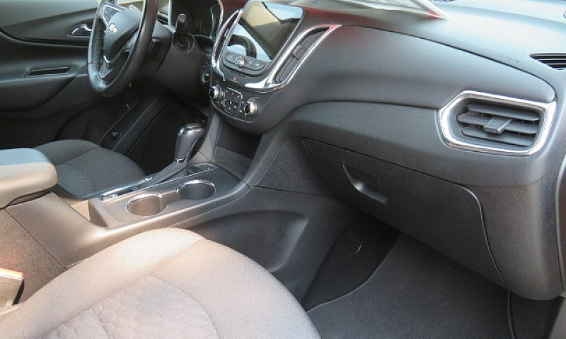 2019 Immaculate Equi...