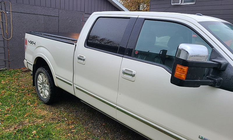 2014 Ford F150 Plati...