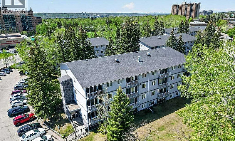 2 Bed, 1 Bath Condo ...