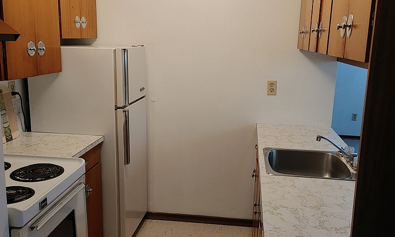 Large 1 Bedroom Apar...