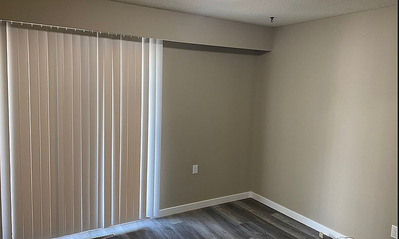 Rarely Available – 3...