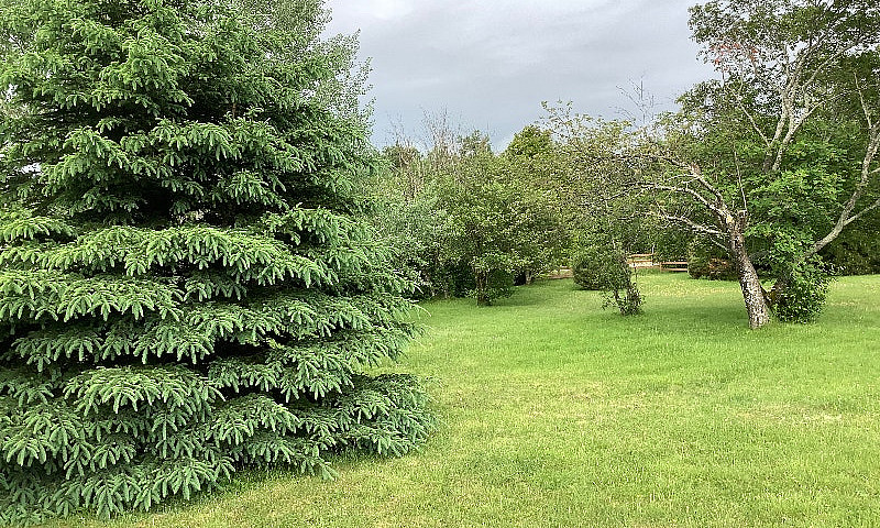 Land For Sale In Rex...
