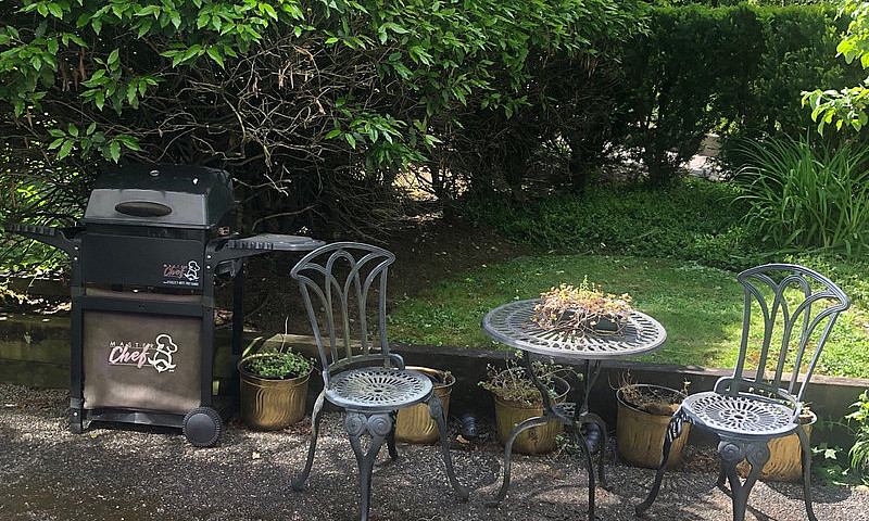 Beautiful  1Br  In T...