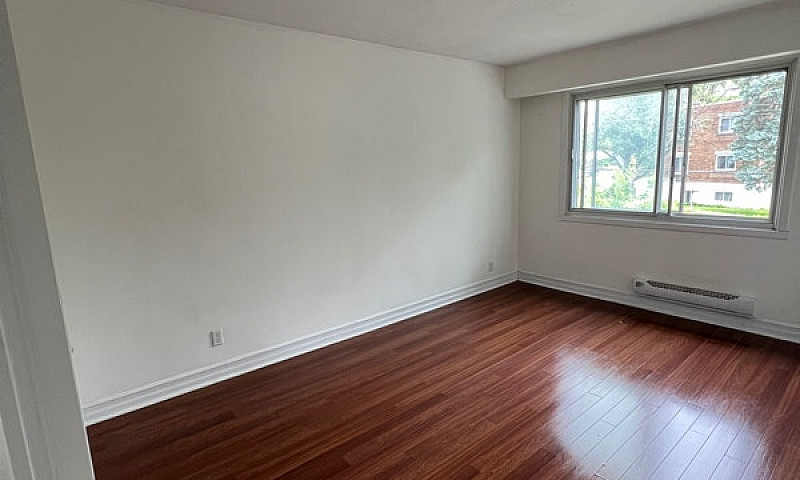5 1/2 Apartment For ...