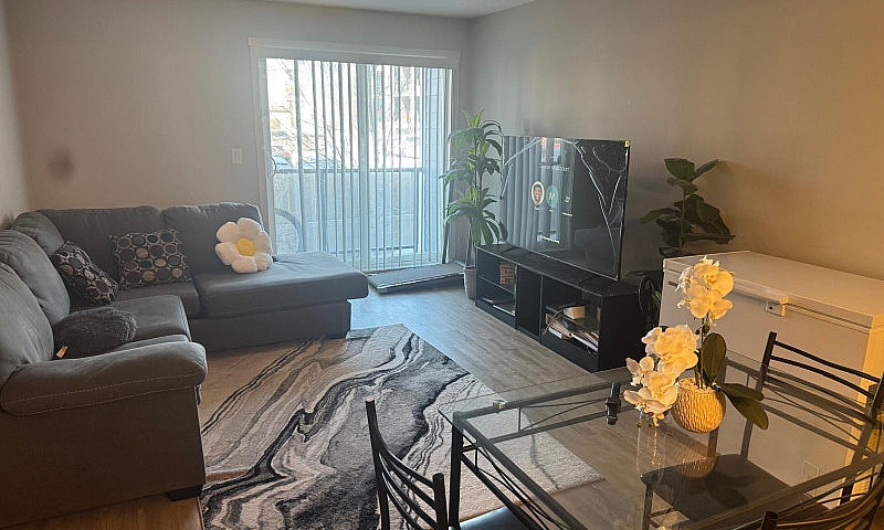 2Bed 2Bath Apt For R...