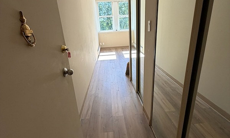 Apartment For Rent C...