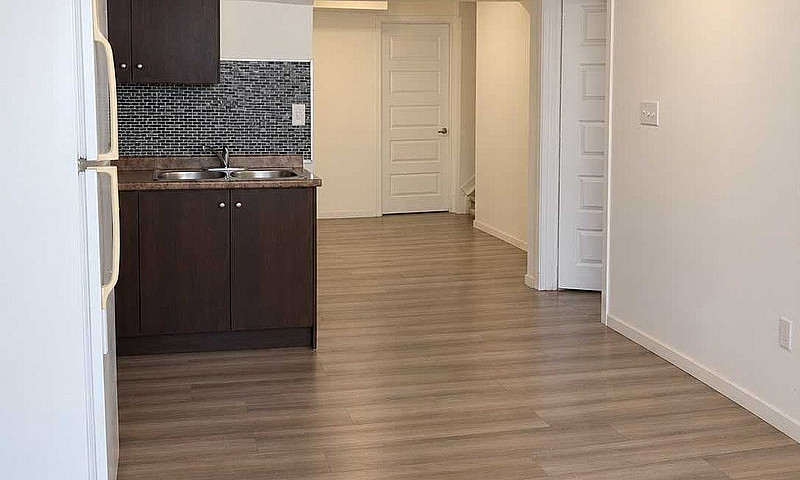 Basement For Rent...