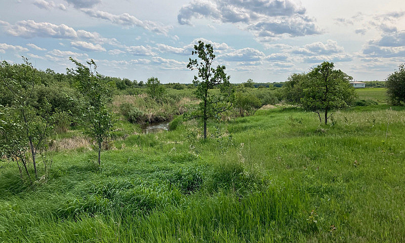 5 Acre Lot Rm Ste. A...