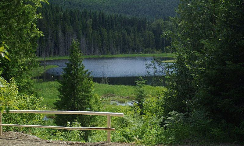 20 Waterfront Acres ...