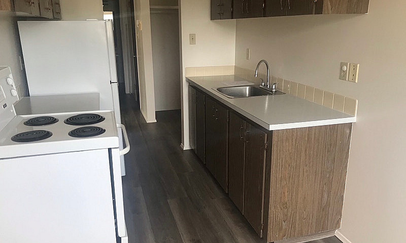 1 Bedroom Apartment ...